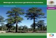 SEGUNDA EDICIÓN Manejo de recursos genéticos forestales · Presentación El Grupo de Trabajo sobre Recursos Genéticos Forestales de la Comisión Forestal para América del Norte