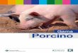 Gama Porcino - karizoo.com · neumonía, rinitis atrófi ca, mal rojo, artritis, onfalitis y como terapia de apoyo en mastitis. COMPOSICIÓN Y DOSIS PORCINO Oxitetraciclina (dihidrato)