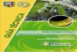 MANEJO INTEGRADO DE PLAGAS Y ENFERMEDADES EN BANANO ORGANICO · 3 manejo integrado de plagas y enfermedades en banano organico y convencional contenido i. introducciÓn 