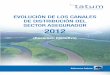 EVOLUCIÓN DE LOS CANALES DE DISTRIBUCIÓN … · 2 Informes tatum “Evolución de los canales de distribución del sector asegurador”, 2012 Resumen Ejecutivo 3 Más de un 30%
