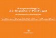 Arqueología de España y Portugal - api.ning.comapi.ning.com/files/bTiYrNp*qjzUdX97c20WX2o0wZHEhjh6fpNBqkbjmkU… · Castilla-La Mancha ... La discusión sobre la función de los
