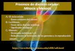 Procesos de división celular: Mitosis y Meiosisbiologiaygeologia.weebly.com/uploads/9/1/0/5/9105909/tema_11... · A.- El ciclo celular. - Bases celulares del cáncer. B.- La Mitosis