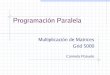 Programación Paralela - dis.um.esdis.um.es/~domingo/apuntes/AlgProPar/0607/PozueloMonfortP.pdf · Multiplicación de Matrices Procedimiento paralelo: proceso MAESTRO Conoce las matrices