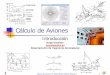 Cálculo de Aviones - Área de Ingeniería Aeroespacialaero.us.es/adesign/Slides/Introduccion/Introduccion.pdf · 2008-09-22 · presentaciones regulares sobre el estado de los proyectos