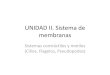 UNIDAD II. Sistema de membranaspeces.ens.uabc.mx/bcym/clases/pdf/II-d-Sistemas-contractiles.pdf · Sistemas contráctiles y motiles (Cilios, Flagelos, Pseudopodos) Procariontes 