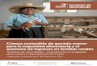 Crianza sostenible de ganado menor aumento de ingresos en ...americalatina.procasur.org/images/TA_Cuy_Peru_ES_1.pdf · Iniciar la producción de cuyes aplicando buenas prácticas