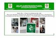 GUIA 1 RESIDUOS HOSPITALARIOS - Red Internacional de ... · Guía para la elaboración del Plan de Gestión Integral de Residuos Hospitalarios y Similares para pequeños generadores