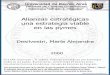 Alianzas estratégicas una estrategia viable en las pymesbibliotecadigital.econ.uba.ar/download/tpos/1502-0119... · una estrategia viable en las pymes Desilvestri, María Alejandra