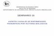 SEMINARIO 16 - fmed.uba.ar · SEMINARIO 16 AGENTES CAUSALES DE ENFERMEDADES TRANSMITIDAS POR VECTORES BIOLOGICOS UNIVERSIDAD DE BUENOS AIRES FACULTAD DE MEDICINA ... Extravasación