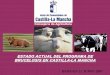 ESTADO ACTUAL DEL PROGRAMA DE … · COMPETENCIAS C.A. Estatuto de ... Funciones en: ¾Ordenación y fomento de la producción ganadera ¾Ordenación y fomento de la sanidad animal