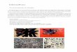 Informalismo - temasplastica.files.wordpress.com · con el expresionismo abstracto estadounidense. El crítico de arte francés Michel Tapié acuñó el término art autre ... 1/29/2015