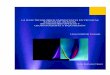 (ELECTRO)QUIMIOLUMINISCENCIA EN TÉCNICAS …hera.ugr.es/tesisugr/17821381.pdf · universidad de granada departamento de quÍmica analÍtica la (electro)quimioluminiscencia en tÉcnicas