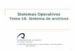 Tema 10: Sistema de archivos - ULPGCsopa.dis.ulpgc.es/so/teoria/pdf/Old/so-10-Sistema de archivos.pdf · Implementación del sistema de archivos Estructura del Sistema de Archivos