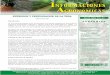 INFORMACIONES Agronomicas - ipni.net · NUTRICION Y FERTILIZACION DE LA TECA * Centro de Investigaciones Agronómicas. Universidad de Costa Rica. San José, Costa Rica. ... y definir
