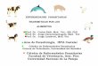 Area de Parasitología, INTA Castelarhelminto.inta.gob.ar/Alumnos/alimentoseptaBN.shw.pdf · parasitos transmitidos en los alimentos: grupo i. fases infectantes de los parasitos en