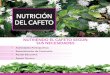 NUTRICIÓN DEL CAFETO - scanprogram.orgscanprogram.org/wp-content/uploads/2012/08/Doc-6-Nutrición-del... · momento de la planta son adecuados. RECURSOS: • Papelógrafo, papel