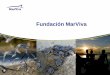 Fundación MarViva - OAS - Organization of American …€¦ · • Seguimiento del proyecto de ley que busca reinstaurar la pesca de arrastre semiindustrial ... Townsend Cromwell