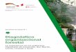 Diagnóstico organizacional forestal - keneamazon.net · La Ley Forestal y de Fauna Silvestre — Ley N° 29763 del 2011— redefine las responsabilidades para el sector forestal