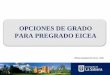 OPCIONES DE GRADO PARA PREGRADO EICEA - … · Ganador de la Feria Empresarial de la Universidad de La Sabana. PERIODO PARA POSTULAR Séptimo (7°) u ... proyecto de grado. Se abre