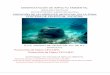 Protección de Datos LFTAIPGsinat.semarnat.gob.mx/dgiraDocs/documentos/yuc/estudios/2011/31YU... · manifestacion de impacto ambiental modalidad particular sector pesquero. subsector
