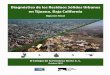 Diagnóstico de los Residuos Sólidos Urbanosserver.cocef.org/Final_Reports_B2012/20103/20103_Final_Report_ES.pdf · 4 Diagnóstico de los residuos sólidos urbanos en Tijuana, Baja