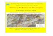Catálogo Anual, 2013webserver2.ineter.gob.ni/boletin/2013/anual-2013/boletin...Sismos y Volcanes de Nicaragua. 2013. Dirección General de Geofísica 6 1.2. Estadística de los sismos