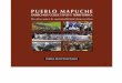 PUEBLO MAPUCHE - ChileSustentable€¦ · PUEBLO MAPUCHE DERECHOS COLECTIVOS Y TERRITORIO: Desafíos para la sustentabilidad democrática Víctor Toledo Llancaqueo