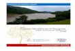 Proyecto Hidroeléctrico El Tortuguero. - mem.gob.ni · El sitio de presa se localiza a ... hora de una crecida de 5 mt, ... Gravedad (diseño rígido en concreto integrado a la presa)