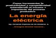 Como incrementar la productividad y competitividad ...a-Eléctrica.pdf · entendiendo el insumo + importante del proceso productivo: La energía eléctrica - Energiza Director General