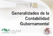 POSTULADOS BÁSICOS DE CONTABILIDAD … · Ley General de Contabilidad ... gubernamental y la emisión de información financiera de los entes ... Definición de la estructura básica