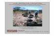 Los límites de Cihuatán: reconocimiento arqueológico ...online.sfsu.edu/kbruhns/cihuatan/limits.pdf · importancia para el manejo y protección de este monumento nacional frente