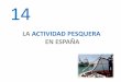 LA ACTIVIDAD PESQUERA EN ESPAÑA · España y la Política Pesquera Común 1.4. La pesca española hoy 2. REGIONES PESQUERAS EN ESPAÑA Y PRINCIPALES CALADEROS ... • España es