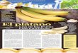 El plátano - ed.el-mexicano.com.mxed.el-mexicano.com.mx/impreso/Ensenada/061313/13-06-2013_ENS_0… · Es, además, el complemento perfecto para ... tienen un efecto naturalmente