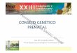 CONSEJO GENÉTICO PRENATAL - …sanac2016.pacifico-meetings.com/images/site/Ponencias/Viernes4... · Enfermedades mendelianas o monog énicas (I) 1-1.5% de nacidos y 25% de las anomalías