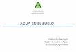 Agua en el suelo intensivos2015 - Facultad de Agronom­a hidrologia/riego/Agua en el suelo   â€¢