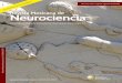 Revista Mexicana de Neurociencia - revmexneuroci.comrevmexneuroci.com/wp-content/uploads/2018/07/... · Departamento de Promoción, Preservación y Desarrollo de la Salud, Maestría