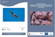 Proyecto LIFE para la conservación y gestión del águila ... · EL AGUILA-AZOR PERDICERA EN ALMENARA ... de España, las cuales ejecutarán y financia-rán varias de las acciones