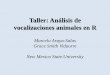 Taller: Análisis de vocalizaciones animales en Rmarceloarayasalas.weebly.com/uploads/2/5/5/2/25524573/1... · Descripción del taller: 1. Teoría básica sobre acústica/bioacústica
