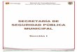 Manual de Procedimientos - Inicioportal.tapachula.gob.mx/docs/ManualDeProcedimientos12-15/I... · Manual de Procedimientos Secretaría de Seguridad Pública Municipal H. Ayuntamiento