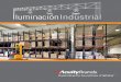 Iluminación Industrial - Acuity Brands Mexico · ENDURATRON Holophane ® APLICACIONES • Hangares • Áreas de mantenimiento • Almacenes • Plantas de ensamble • Auditorios