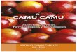 El Camu camu: Aspectos químicos, farmacológicos y … · &217(1,'2 3uroyjr 3uhvhqwdflyq (o &dpx fdpx (o &dpx fdpx /d lqhvwdelolgdg gh od 9lwdplqd & /d lqhvwdelolgdg gho froru ,qhvwdelolgdg