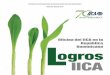 Oficina del IICA en la República Dominicanalegacy.iica.int/Esp/regiones/caribe/repDominicana/IICADocumentos... · volumen de las tareas cosechadas y a un aumento importante de los