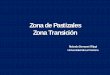 Zona de Pastizales Zona Transición - Inicio - Praderas …praderasypasturas.com/.../2003/05.-Zona_de_Transicion.pdf · 2013-07-21 · Factores que afectan el desarrollo de la pradera