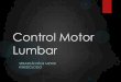 Control Motor Lumbar - kinex.cl Motor Lumbar.pdf · Cuando sistema pasivo se encuentra defectuoso y no ... “Inestabilidad mecánica” es la perdida de control motor de un ... P