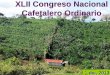 XLII Congreso Nacional Cafetalero Ordinario · Cosechas 2011-12 y 2012-13 ... Años Calendario: 2002 y 2012 ... Anual Total Mundial 111 178 142 000 30 822 27.7% 2.5% Países Exportadores