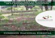 Guía técnica para la planeación de la reforestación ...a Técnica par… · co. Modelos de Circulación Glo-bal: Canadiense (CCC), Centro ... Figura 2. Cambio de la cantidad de