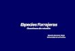 Presentación de PowerPoint - praderasypasturas.compraderasypasturas.com/.../2013/16.-Gramineas_de_Rotacion.pdf · Raíz superficial y fibrosa . ... Producción y Composición botánica