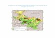 Programa de Ordenamiento Ecológico Territorial de la …201.99.98.88/documentacion_huasteca/Memoria Huasteca/Reporte Fina… · especies maderables que han alcanzado su desarrollo