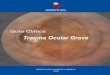 Guía Clínica 2009 Trauma Ocular Grave - minsal.cl · Estudio imagenológico (Radiografía de órbita y/o Ecografía Modo B y/o TAC de orbita) ... El retorno a la forma normal añadirá