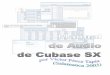Manual de Audio de Cubase SX - musikawa.es · Estas muestras aparecen en forma de rectángulo que, por de- ... Excepto el primer grupo, la mayoría de los grupos de botones los iremos